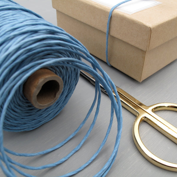 chunky paper twine in blue 